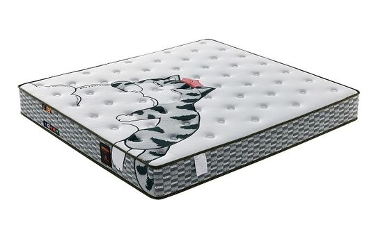 Prezzo buono Comfort naturale traspirante Bonnell Coil Materasso a molla Eco Coir Sostegno ortopedico della colonna vertebrale in linea