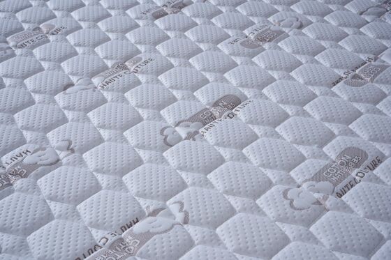 Good price Removable Mattress  Encased Coils  Washable Cover  Orthopedic Back Support online